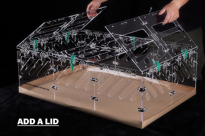 Acrylic Guinea Pig Cages - 4x2ft Small Animal Cage | DIY Extendable | Easy-to-Clean Disposable Bottom (Without Lid)