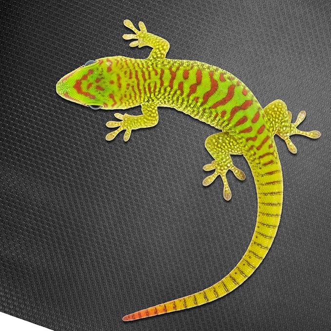 Reptile Carpet for Bearded Dragons Snakes and Lizards Non Abrasive Substrate Mat Safe and Comfortable Terrarium Bedding for Easy Clean Up