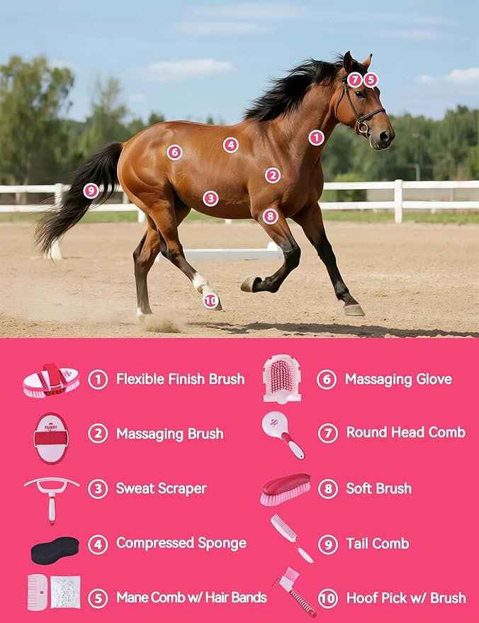 Horse Grooming Kit, 11-Piece Complete Grooming Supplies Set with Curry Comb, Brushes & Hoof Pick for Daily Care, Stable & Show Use Pink Garnet