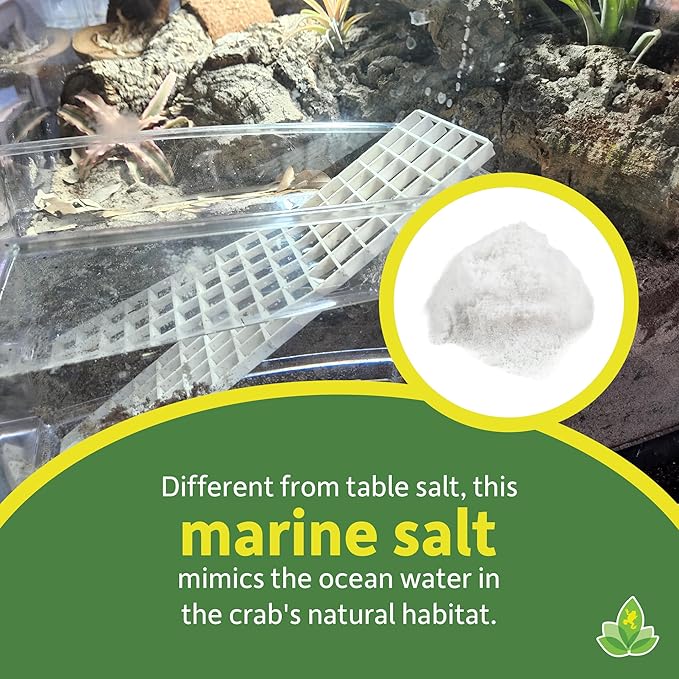 Josh's Frogs Hermit Crab Marine Salt and Scooper (Makes 8 gallons of Salt Water)