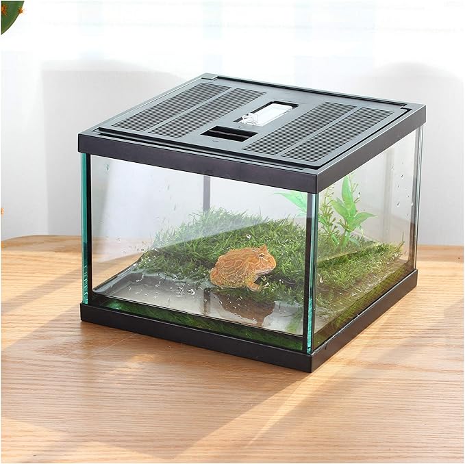 crapelles Small Glass Frog Terrarium Kit, 7.8x7.8x5.9'' for Tadpole, Amphibians, Insects Enclosure, Praying Mantis Habitat, with Green Artificial Turf Pad (excluding Animals)