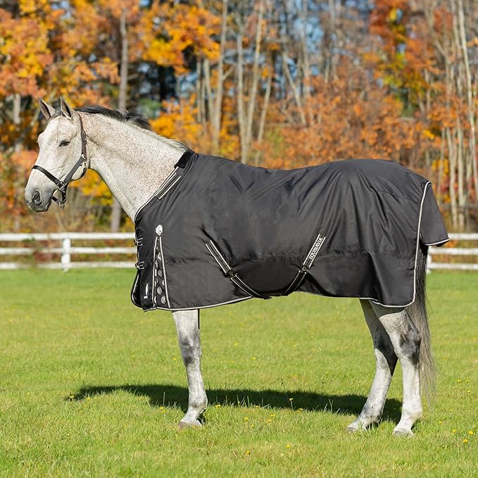 Equinavia Norse Lightweight 100g Fill Horse Rain Blanket | Waterproof Turnout Sheet - Black - 66 in - Black - 78 in