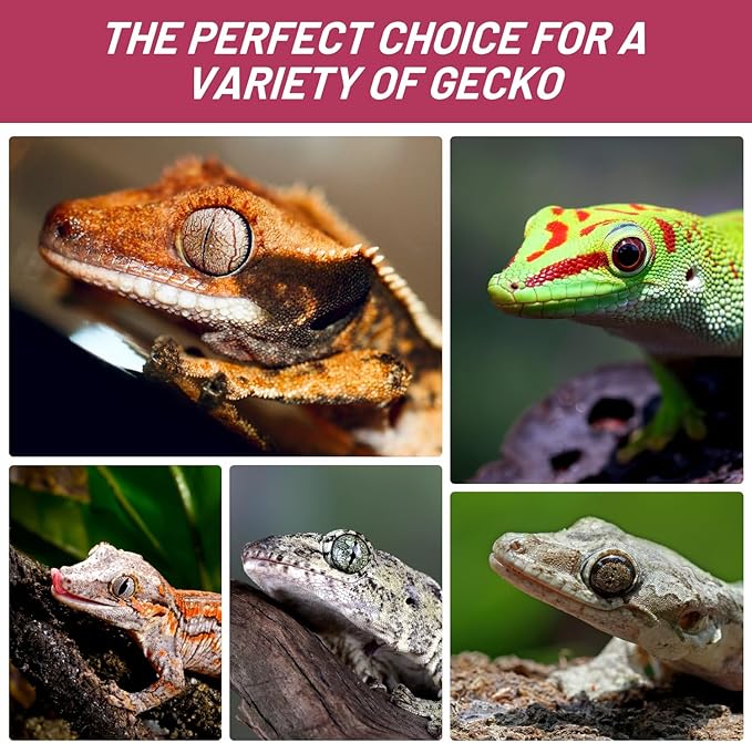 Crested Gecko Food, Fruit Mix Fig and Insects Complete Diet Gecko Food 2oz