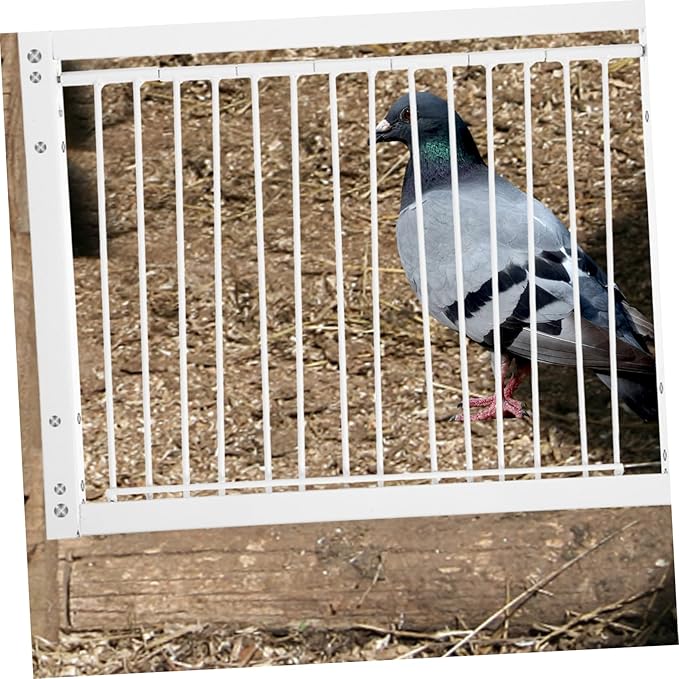 Bird Cage Door for Pigeons Easy Access Entrance for Pigeon Loft Simple Design and Exit Door