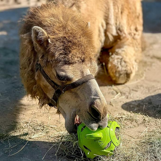 Horsemen's Pride Jolly Hay Ball Stall Toy for Horses, Green