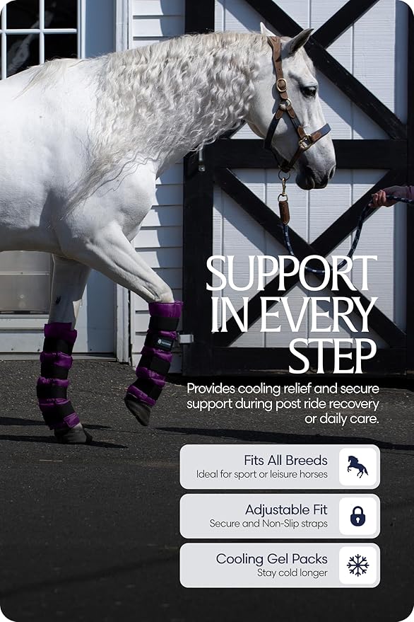 Equinavia Cool Relief Therapy Ice Boots Leg Wraps Pair for Horses, Gel Pack with Adjustable Straps | 16.5" x 15.5" with Storage Bag - Purple - Pair - One Size