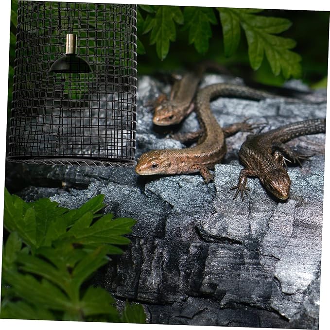 TEHAUX 1Pc Lampshade for Heating Round Scalding Cover for Climbing Boxes for Reptile Habitats Easy to Install with Four Screws Reptiles from Burns