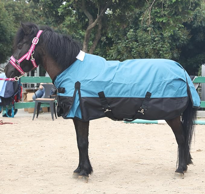 LEAFOREST 1200 Denier Waterproof Mini Shetland Pony Foal Rug, Blue Black, 45IN