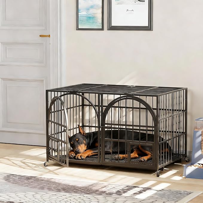 Dosker 42 inch Heavy Duty Metal Dog Crate Cage with Divider for 2 Dogs/Large Dog,All Metal Open Top Escape Proof Cage,Dog Kennel Indoor with Wheels,Floor Grid,Tray,Feeding Bowl