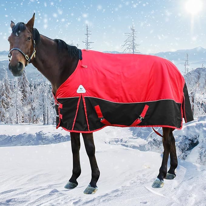 1680D All-Weather Horse Turnout Blanket with Detachable Neck Cover - 280g Medium Weight Winter Horse Blanket, Water-Resistant & Breathable for Cold Weather (81in/155cm)