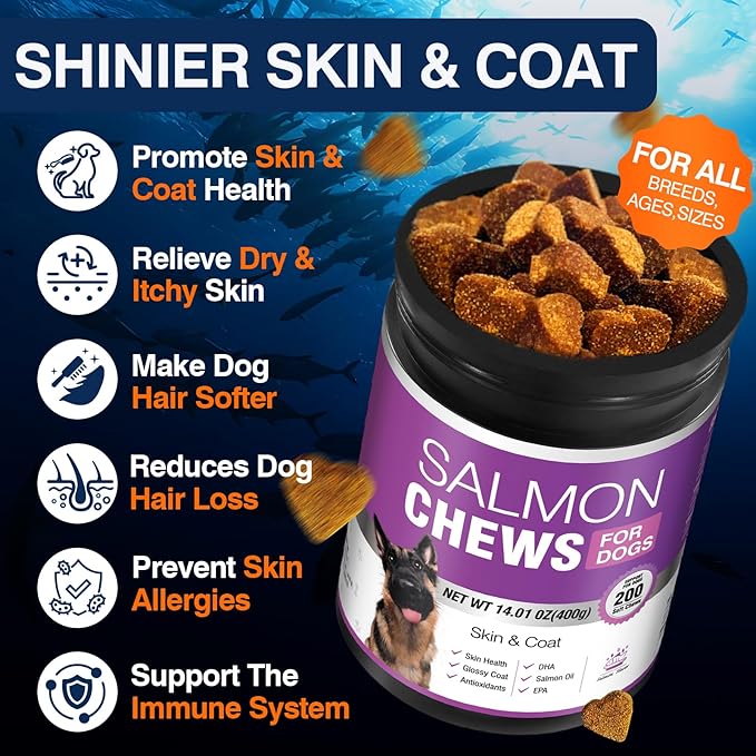 Omega 3 Skin and Coat Supplement for Dogs 200 Chews Dog Fish Oil Supplements with EPA & DHA Fatty Acids Dry Skin Relief for Dogs Shedding Allergy Itching Promotes Heart Hip Joint Health Salmon Flavor