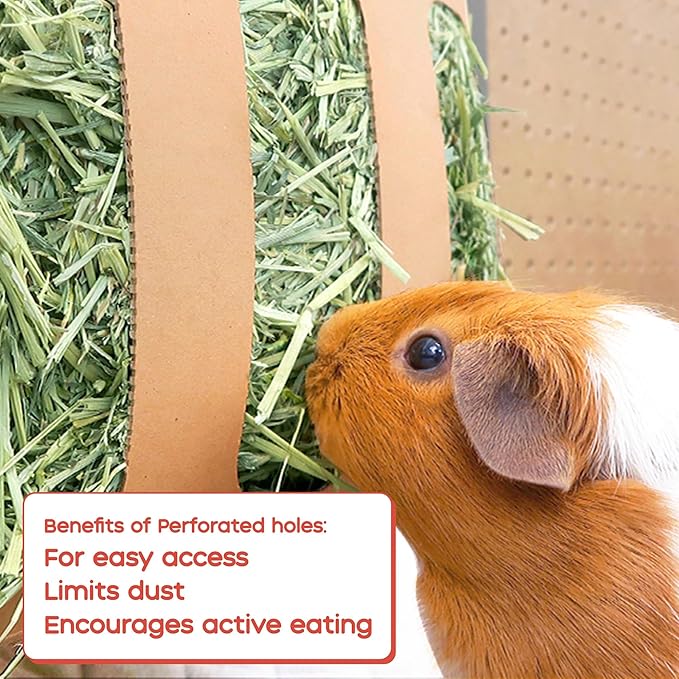 GuineaDad Orchard Hay Box – 3 Pack Guinea Pig Food – Cage-Mounted Feeding System – Orchard Hay for Guinea Pigs, Rabbits & Small Animals – 100% Recyclable & Biodegradable