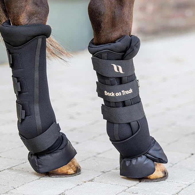 Back on Track Royal Quick Wraps Deluxe for Horses 2033 with Welltex Technology, Sold in Pairs, Black, Large (16")