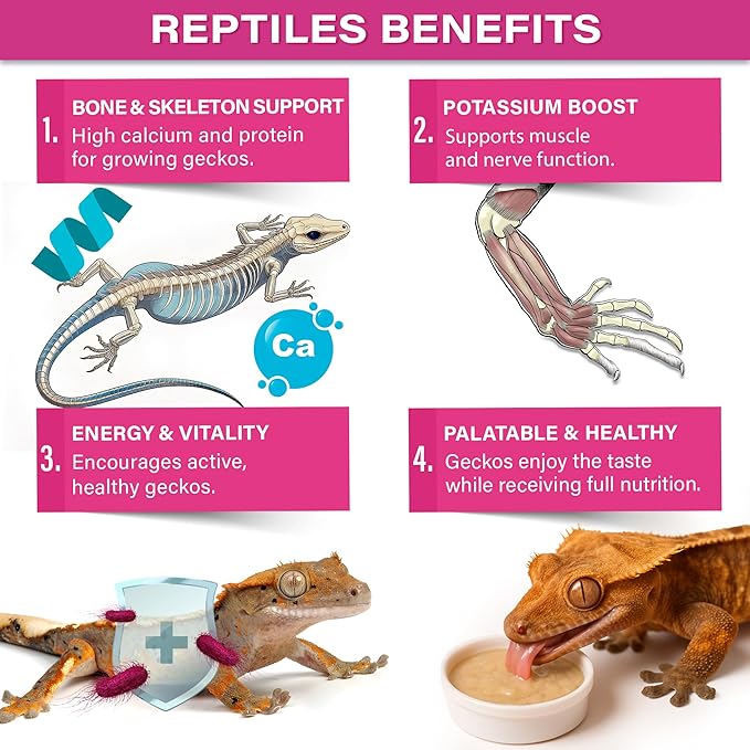 Gargeer 'Picky Geck' Growth - Premium Crested Gecko Food | High-Protein Fruit Formula for Bone & Muscle Support | No Fillers - Only Premium Ingredients | 2oz | Made in USA. Enjoy !