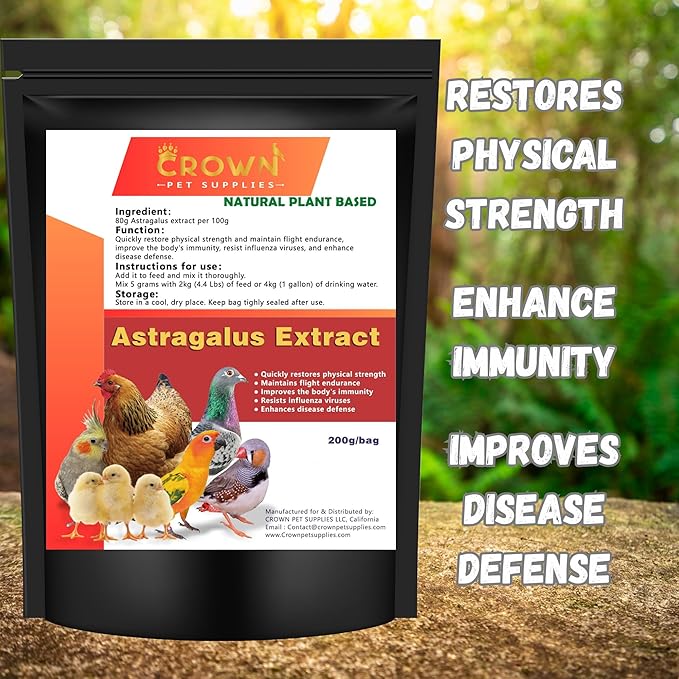Astragalus Extract Powder for Birds – All-Natural Immune Support Supplement for Backyard Chickens, Poultry, Pigeons, & Parrots – Natural Immune Booster – Safe for All Birds