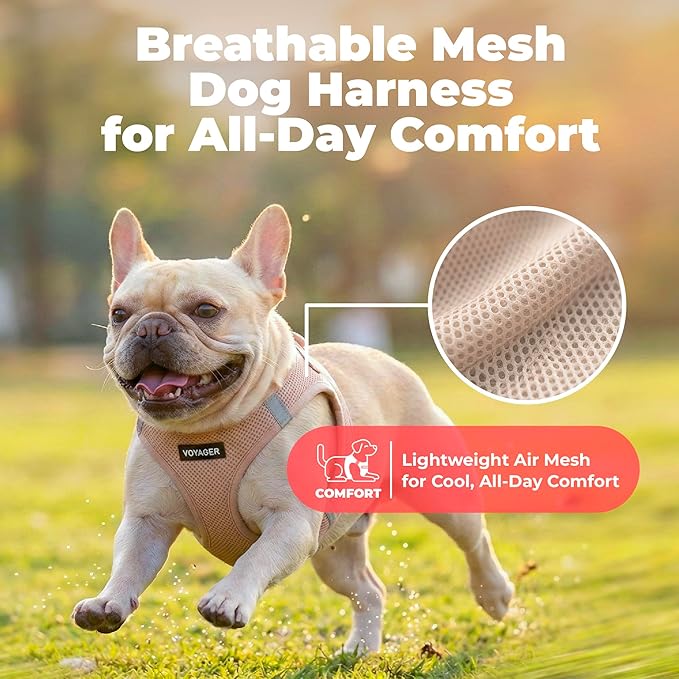 Best Pet Supplies Voyager Step-in Air Harness - All Weather Mesh, Reflective, No Pull Harness for Dogs, Cats - Secure with Hook & Loop Fastener, Buckle, Double D-Rings - Khaki, L