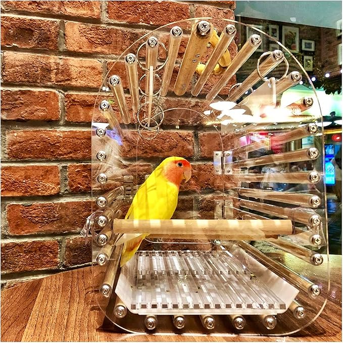 Bird Cage Lightweight Bird Carrier Acrylic Bird Travel Cage with Feeding Cups Transparent Breathable Bird Parrot Carrier for Indoor Outdoor Birdcage,