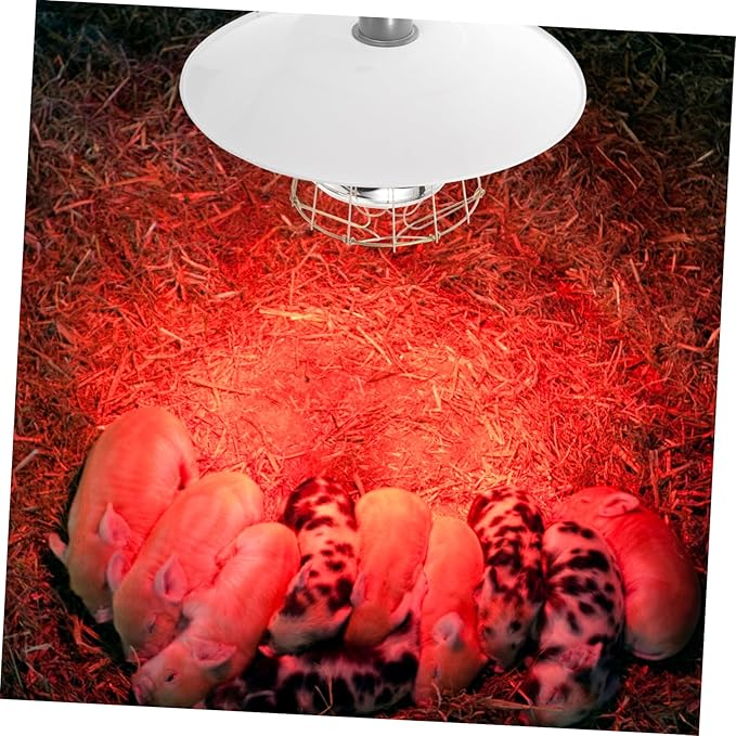 Mini Pig Use Heat Lamp Livestock Heat Lamp Warm Light for Heating Light