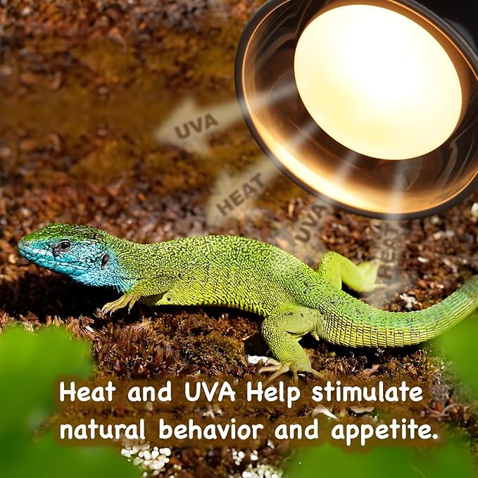 150W Reptile Basking Heat Bulb, 2-Pack UVA Daylight Heat Lamp Bulbs for Bearded Dragons, Turtles, Snakes, Lizards & Amphibians - Provides Infrared Heat Output & Sunlight Simulation Heating Light