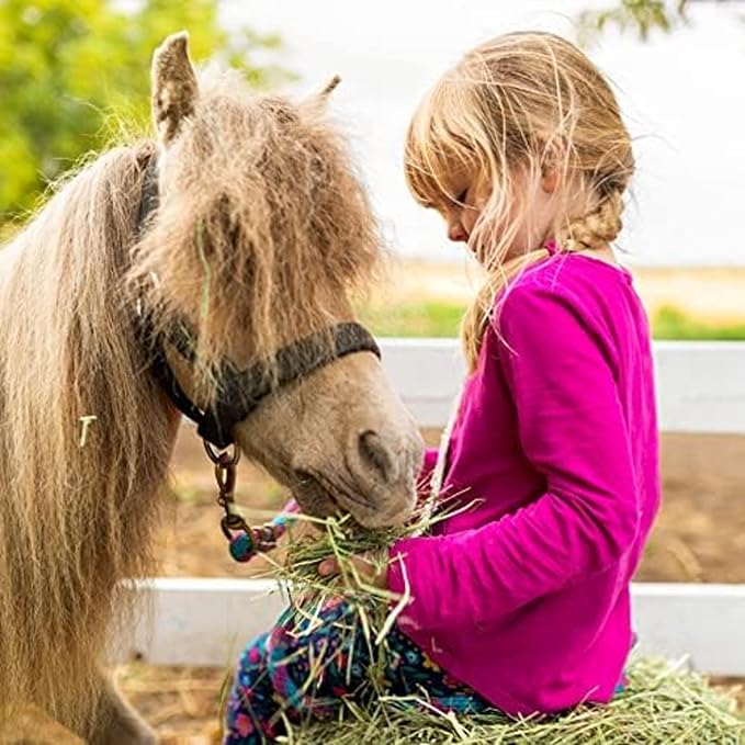Blue Mountain Hay High-Altitude Organic Alfalfa Hay (48 oz), High Protein Fiber & Mineral Rich, Soft Leafy Texture with High Leaf Retention, Premium Quality Feed for Small Pets and Farm Use