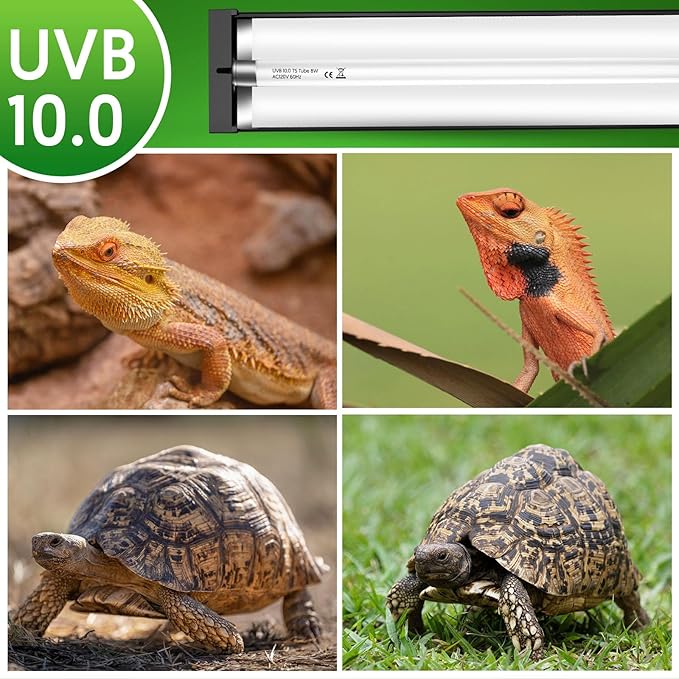 QZQ T5 UVB Reptile Light Fixture Combo Kit 24W, 10.0 UVB Light for Reptiles, Terrarium Hood Comes with Desert Reptile Lamp for Bearded Dragon, Gecko, Tortoise, Lizard