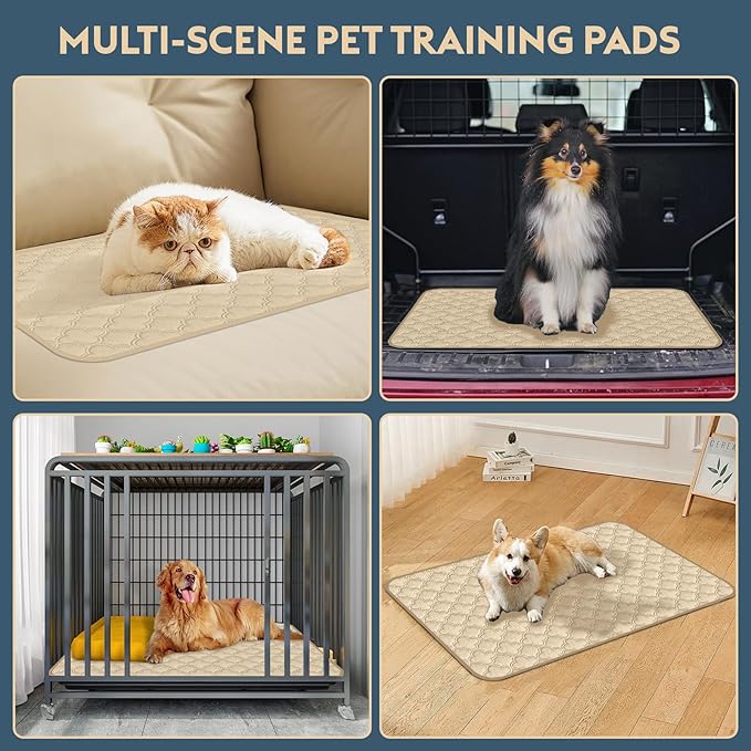 FunFurry Washable Pee Pads for Dogs - 1 Pack Reusable Pee Pads，Waterproof Puppy Pads，Pet Training Pads，Super Absorbent with Dog Paw Shape Non-Slip Backing (Cream, 48" X 65" - 1 Pack)