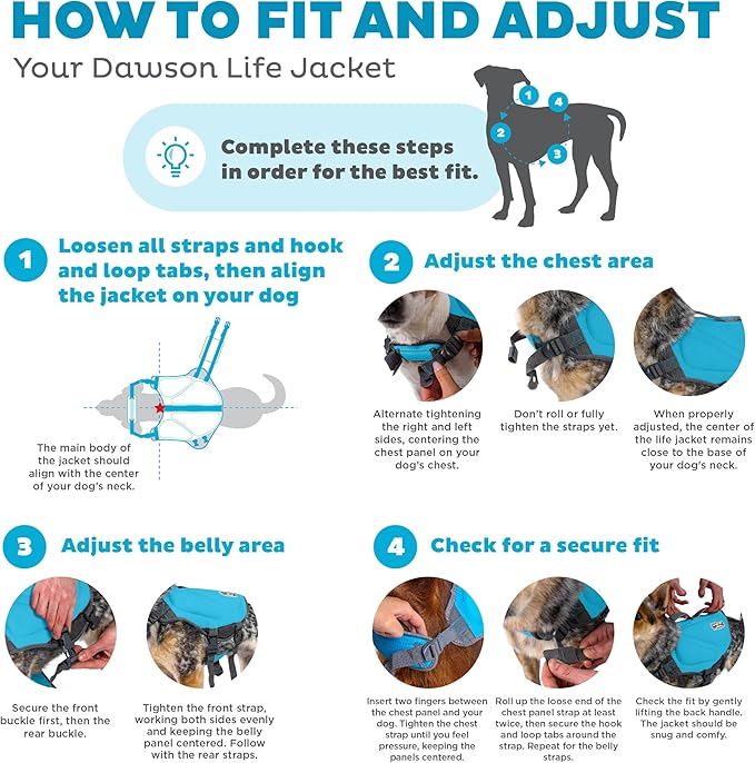 Outward Hound Dawson Swim Blue Dog Life Jacket, XS