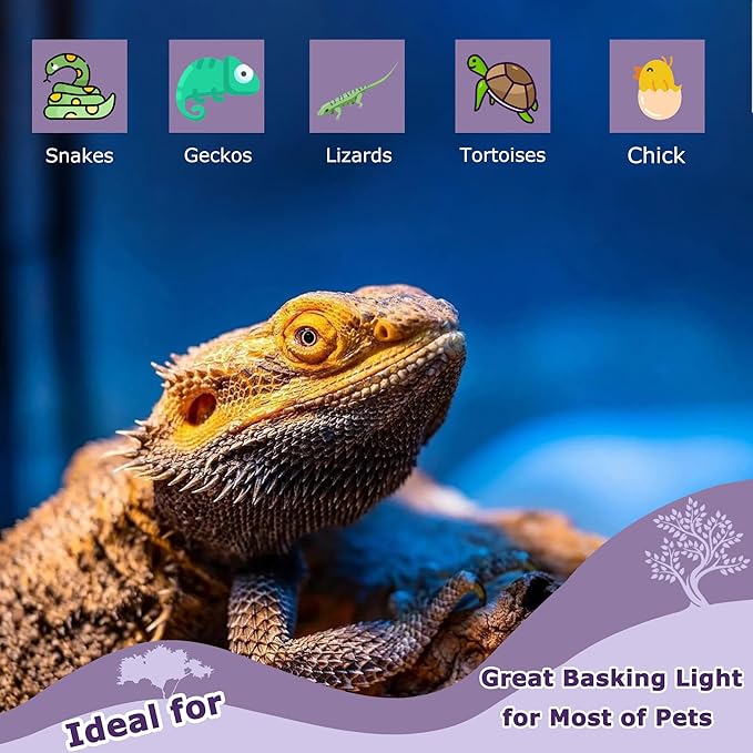 75W Reptile Night Light Bulb – Purple Basking Spot Lamp with Simulated Moonlight for Lizards, Chameleons, Snakes, Turtles, Amphibians – UVA Heat Light – 2 Pack | 3.2"