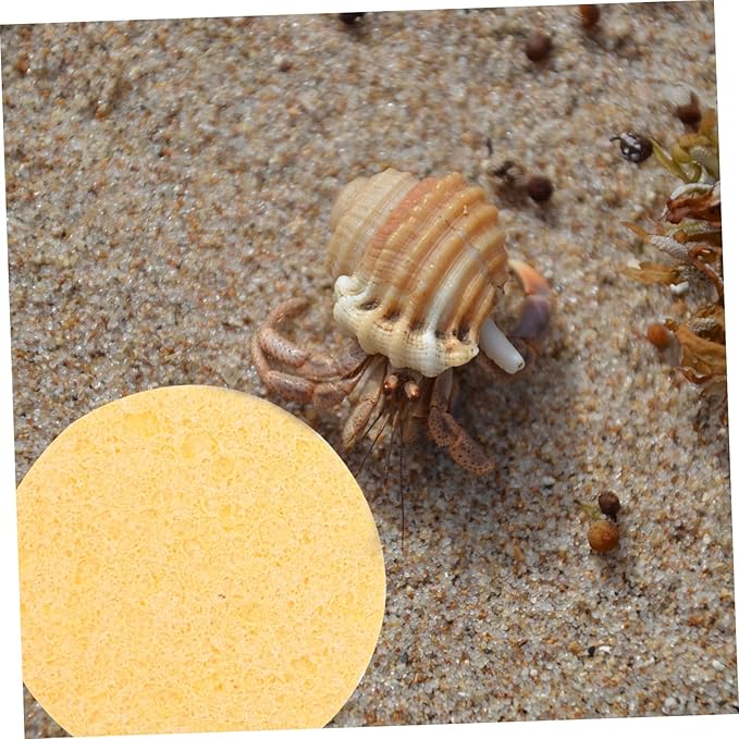 12Pcs Hermit Crab Sponges for Water and Cleaning Humidity Enhancing Sponges for Hermit Crab Habitats Ideal for Drinking and Maintenance of Crab Environments