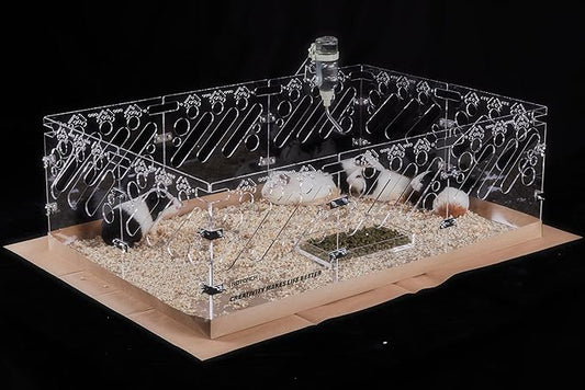 Acrylic Guinea Pig Cages - 3x2ft Small Animal Cage | DIY Extendable | Easy-to-Clean Disposable Bottom (Without Lid)