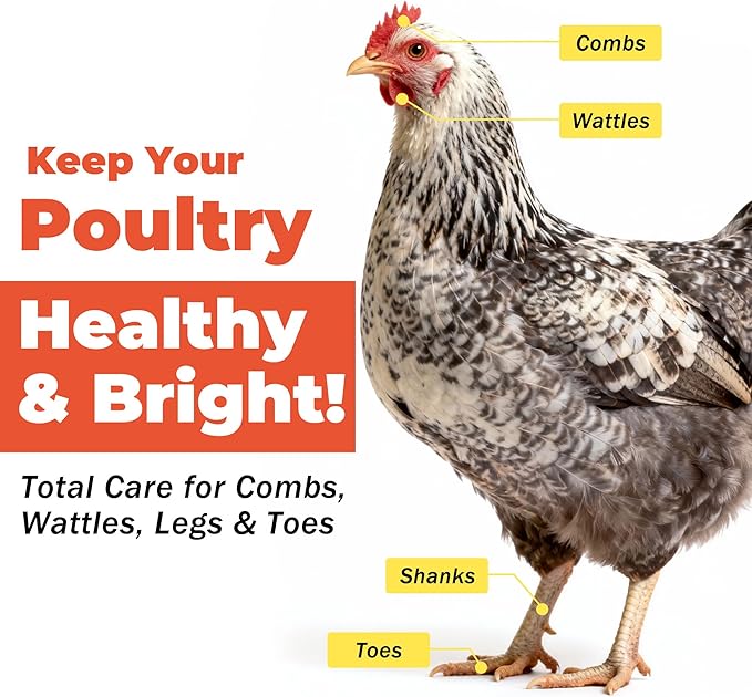 Respiratory Aid for Poultry - Chicken Supplement - Drinking Water Additive - Supports Respiratory Health in Roosters - Suitable for All Birds - 6 oz Dropper - Made in USA