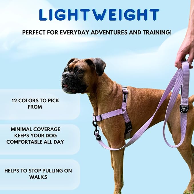 ShawnCo Dream Walk No-Pull Dog Harness- Adjustable, Comfortable, Easy to Use Pet Halter to Help Stop Pulling for Small, Medium and Large Dogs- Art Pattern Designs (White Sharks, M)