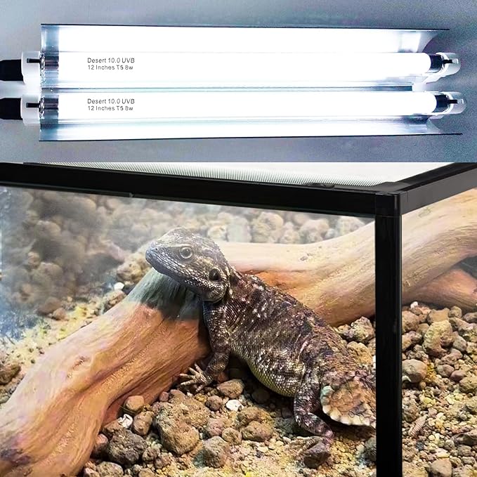 Celiwace T5 Reptile Light Fixture Combo Kit 16 Watts, 12 Inches UVB Light 2x8 Watt, T5 10.0 UVB Reptile Light Fixture, Desert Reptile Light for Lizard, Bearded Dragon, Tortoise