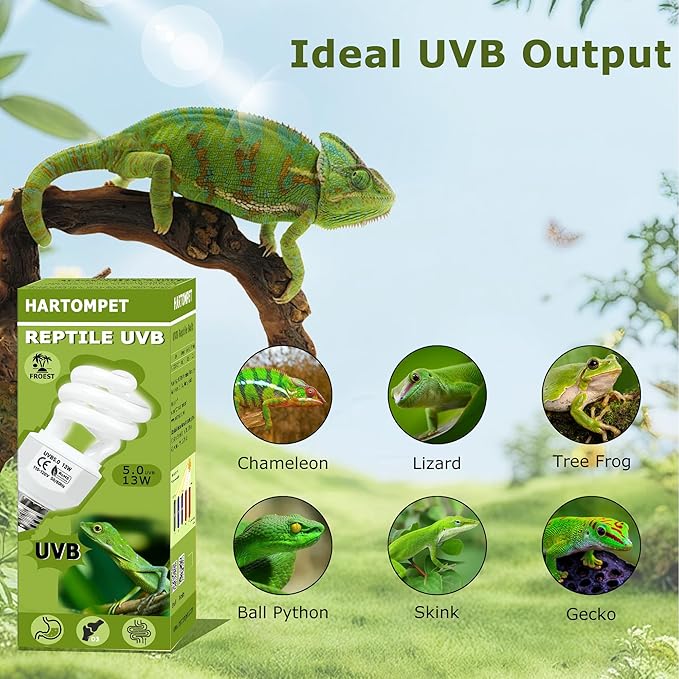 UVB 5.0 Reptile Light 26W, Compact Fluorescent Tropical Terrarium Lamp, Coil UVB Bulbs for Chameleons, Iguanas, Turtles, Rainforest Reptile Tanks, Pet Terrariums, Reptile Habitat Tank