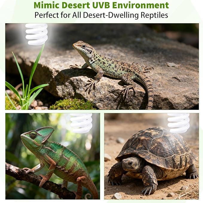 5 Pcs Uvb Reptile Light 10.0 26 W Compact Fluorescent Simulation Color Uvb Bulb for Turtle Bearded Dragon Lizard Gecko Desert Tropical Sub Tropical Reptiles