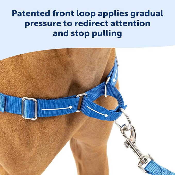 PetSafe Easy Walk Harness for Dogs - Pull-Free Walks - Patented Martingale Loop Design - Front Chest Leash Attachment - Comfort Straps - Breathable Harness Design - Medium, Black/Silver