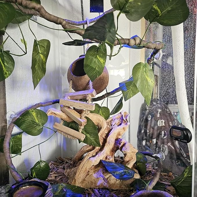 Crested Gecko Tank Accessories,Gecko Coconut Hut Hideout with Ladder Reptile Hammock Lizards Hanging Plants Flexible Climbing Jungle Vine Leaves Terrarium Decor