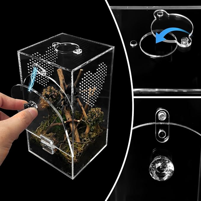 Acrylic Spider Enclosure 2 Pack, No Assembly Mixed Size Terrarium for Jumping Spider & Tarantula (L)