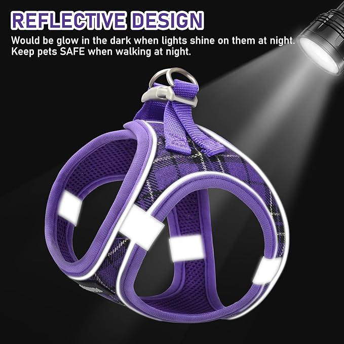 GAMUDA Small Dog Harness Collar and Leash Set, Step in No Chock No Pull Soft Mesh Adjustable Dog Vest Harnesses Plaid Reflective for Dogs Puppy Cats Kitten Rabbit (Purple, S)