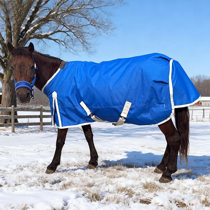 Miniature Horse Pony Horse Blanket, 1200D Winter Turnout Blanket for Pony Breeds/Small Pony/Tiny Horse/Small Breed Horse/Foal,Donkey Blanket with 220g Polyester Filling Liner (47inch, Blue)