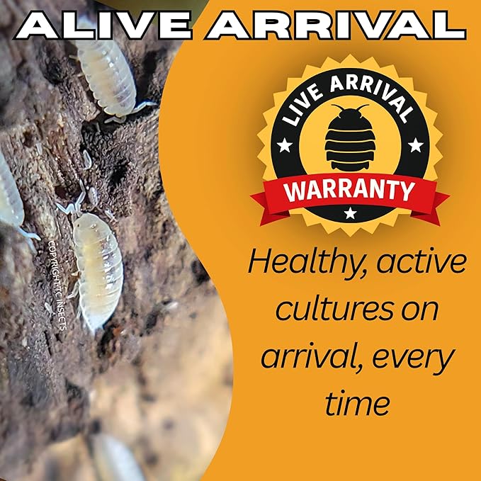 Bioactive Combo 50ct Dwarf White & 8oz Springtails Isopods Live Bioactive Clean Up Crew Bundle Reptile Amphibian Food Bundle