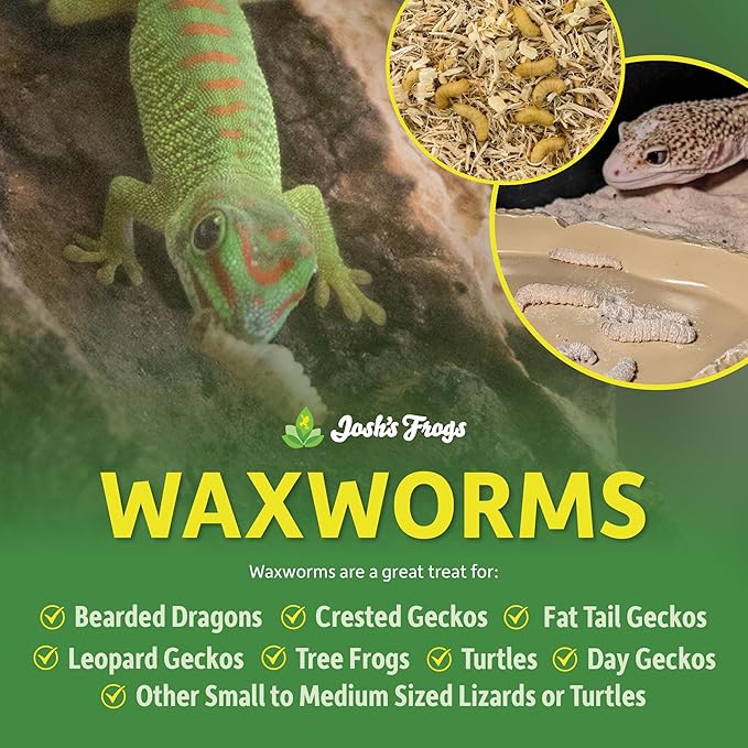 Josh's Frogs Waxworms (1000 Count)