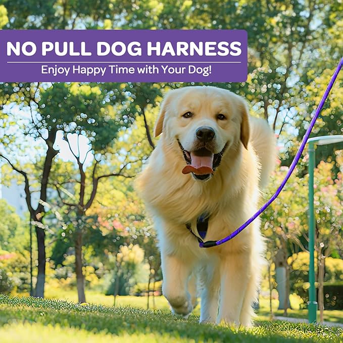 FURRYFECTION Plaid Dog Harness for Small Dogs, Reflective No Pull Adjustable Pet Vest with Front Clip, Leash, Easy Control Handle and Seat Belt, Purple, S