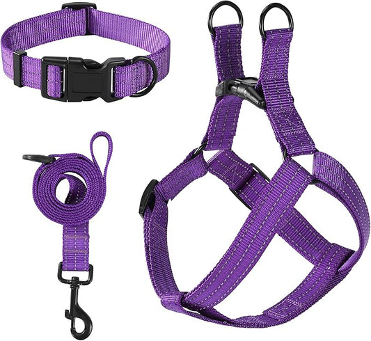 Mile High Life Night Reflective Double Adjustable Band Nylon Small Puppy Pet Dog Combo Collar Leash and Harness Set (Reflective Solid Purple, Large (Pack of 3))