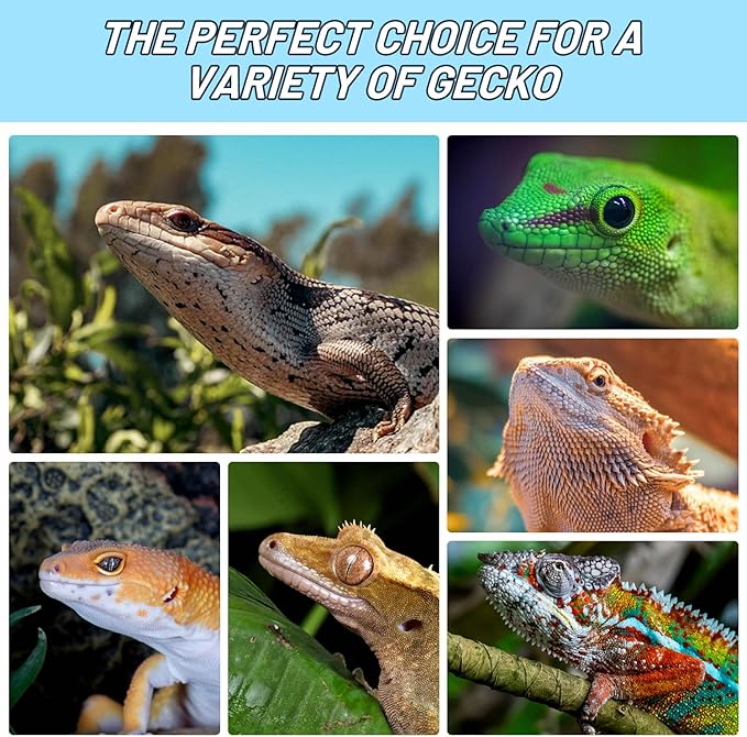 Crested Gecko Food Insect Puree, Dubia Paste Reptile Food Made with Fresh Insects Gecko Food Complete Diet 2.82oz