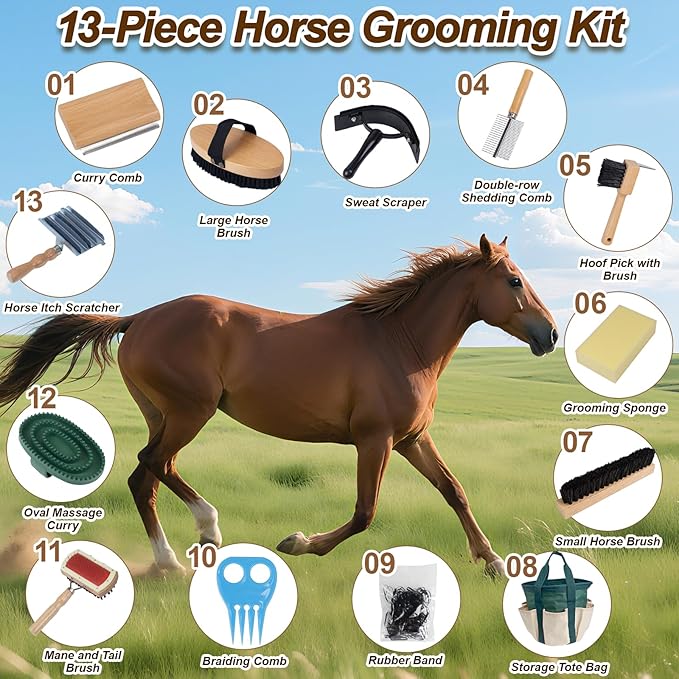 13-Piece Horse Grooming kit for Daily Care,Complete Horse Supplies Set with Wood Brushes, Tack Essentials, Curry Tools, and Practical Horse Accessories for Farm & Stable Use