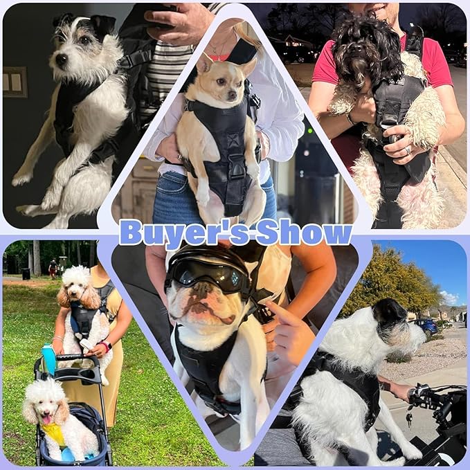 YUDODO Front Pet Carrier Backpack for Small Dogs and Cats, Secure and Breathable Mesh, Ergonomic Support, Adjustable for Walking, Hiking, or Travel (Blue S)