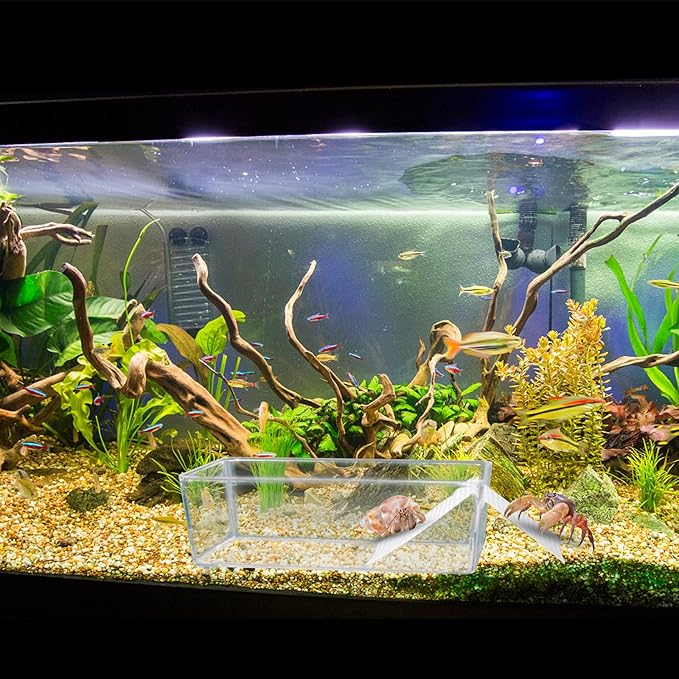 2 Pack Large Transparent Hermit Crab Tank with Climbing Ramp, Aquarium Tank Cage Salt Water Pool Accessories, Habitat for Small to Large Hermit Crab