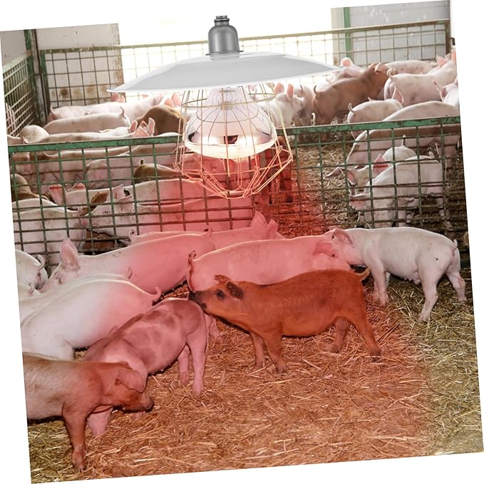 LIOOBO Heat Preservation Lamp Set Thermostat Lamp for Poultry Home/Farm/Reptile Use