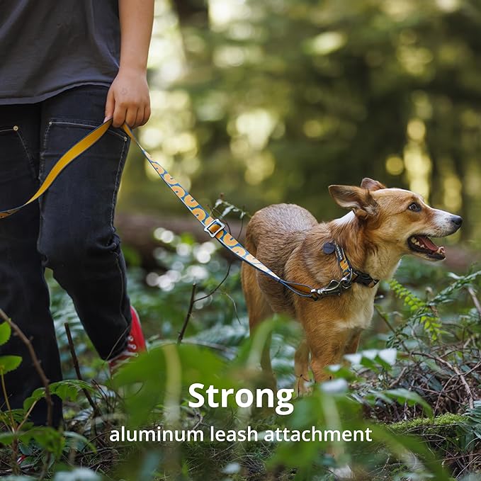 Ruffwear, Crag Dog Collar, Stylish Adventure Collar with Premium Reflective Design, Quick Release Buckle, Lightweight All-Day Comfort, Grassy Oxbow, 20"-26"